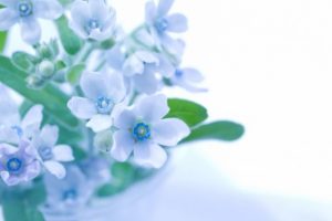 現役職員が考える介護業界で働くやりがいや魅力とは?