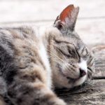 夜勤を頑張る介護職員へ♪効果的な睡眠のための5つの工夫!