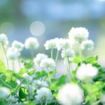 あなたは大丈夫?優しい介護職員こそ気を付けてほしい共感疲労とは?!