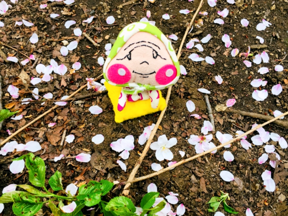 しわくちゃんの写真