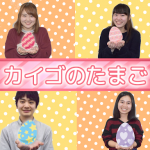 どんな介護人材になりたい?現役介護専門学生に聞いた!@日本福祉教育専門学校