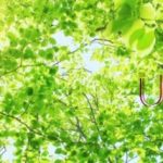【インタビュー】心ある介護福祉士を育てていきたい!介護職から教職の道へ進んだ理由