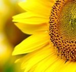 ＜介護の扉④＞収入？安定？やりがい？ライフステージに合わせて働く