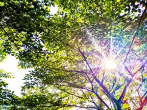 高齢者の熱中症対策|介護士が知っておきたいサインと5つ対処法